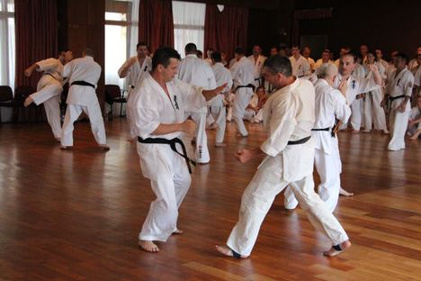 Magyar Shinkyokushin Karate Szervezet - Kálóczi Branch9_n