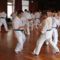 Magyar Shinkyokushin Karate Szervezet - Kálóczi Branch9_n