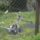 Pozolas_a_kameranak_1712644_8901_t