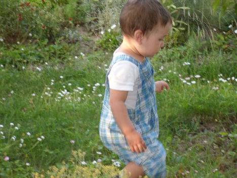 SAM_0449