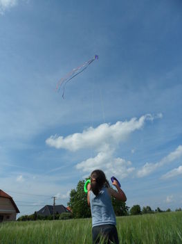 SAM_0462