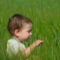 SAM_0470