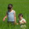 SAM_0480