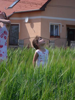 SAM_0490