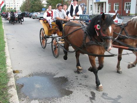 Ezer Székely Leány Napja 2013 16