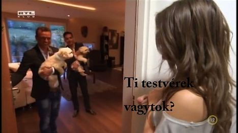 hanna kutyákra vigyázz