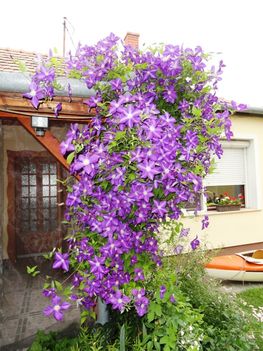 DSC00049