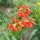 Dsc00092_1715763_9747_t