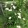 Dsc00102_1715778_2830_t