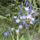 Dsc00103_1715797_4018_t
