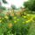 Dsc00104_1715800_4230_t