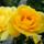 Dsc00112_1715783_5091_t