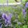 Dsc00113_1715769_9186_t