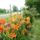 Dsc00114_1715770_2753_t