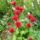 Dsc00128_1715768_7443_t