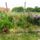 Dsc00131_1715818_1826_t