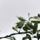 Dsc00144_1715813_1244_t