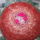 Melocactus_ernestii_1715381_6207_t