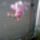 Orchideak_7_1715317_4972_t