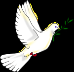 Peace_dove