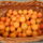 Termesunk_fele_1715062_6472_t