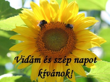 VIDÁM HÉTVÉGÉT!