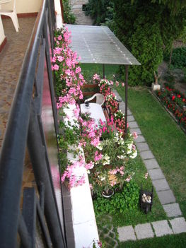 A terasz virágai az erkélyről