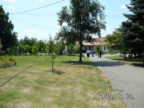 Közös gurulás 24