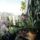 Orchideak_23_1716665_3979_t