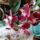 Orchideak_2phalaenopsis_1716692_5821_t