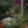 2013_viragaim_egyresze_1717406_1623_t