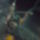 292_1717575_4909_t