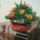 Anyue-002_1717828_7742_t