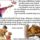 Barataimnak__szeretettel_1717000_6204_t