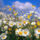Margaretak_1717788_1041_t