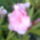 Leander-003_1718435_3318_t