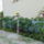 Legujabb_virag_tartom_1718426_2287_t