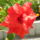 Mai_kepek_3_1718959_4599_t