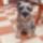 Princ_a_teraszon-003_1718266_2909_t