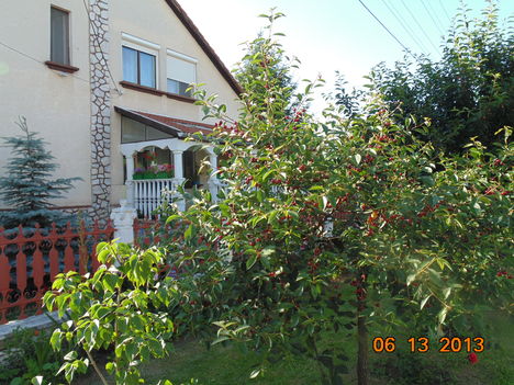 Cigánymeggy.