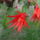Dscf7222_1701610_8278_t