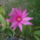 Dscf7226_1701611_6886_t