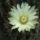 Dscf7230_1701613_6617_t
