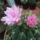 Dscf7235_1701614_6067_t