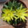 Dscf7354_1710339_9161_t