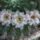 Dscf7362_1710458_4564_t
