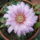 Dscf7364_1710459_4940_t