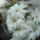 Dscf7365_1710460_9595_t