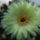 Dscf7366_1710461_3838_t