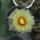 Dscf7367_1710563_9693_t